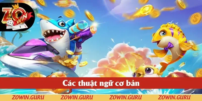 Các thuật ngữ cơ bản