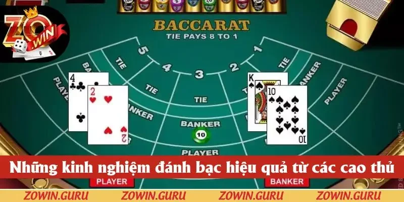Những kinh nghiệm đánh bạc hiệu quả từ các cao thủ