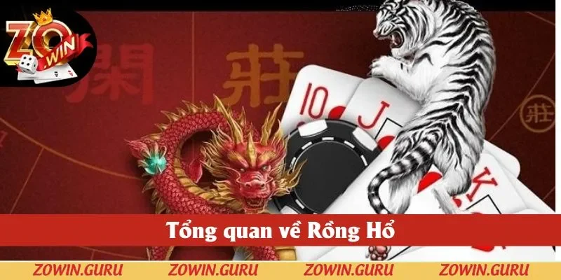 Tổng quan về Rồng Hổ Zowin Tổng quan về Rồng Hổ Zowin