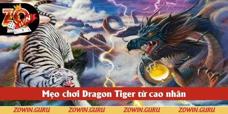 Mẹo chơi Dragon Tiger từ cao nhân