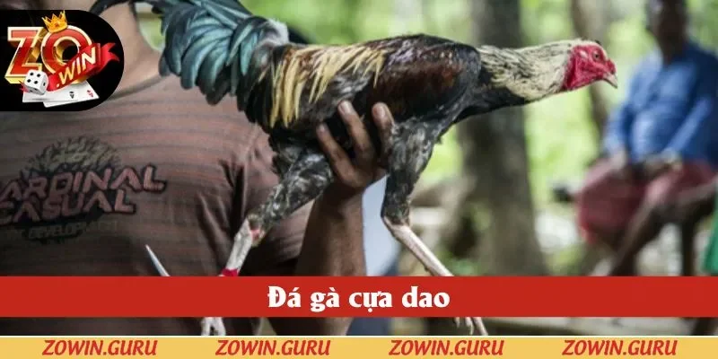 Đá Gà Cựa Dao - 4 Chiến Thuật Dễ Áp Dụng Cho Newbie