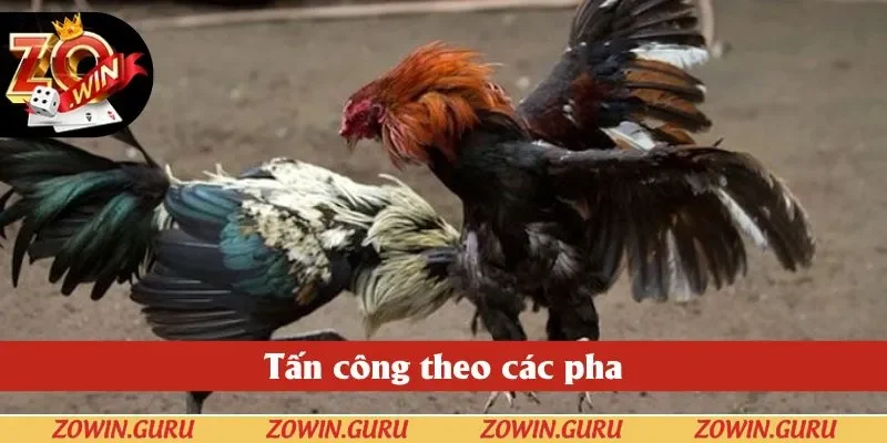 Tấn công theo các pha