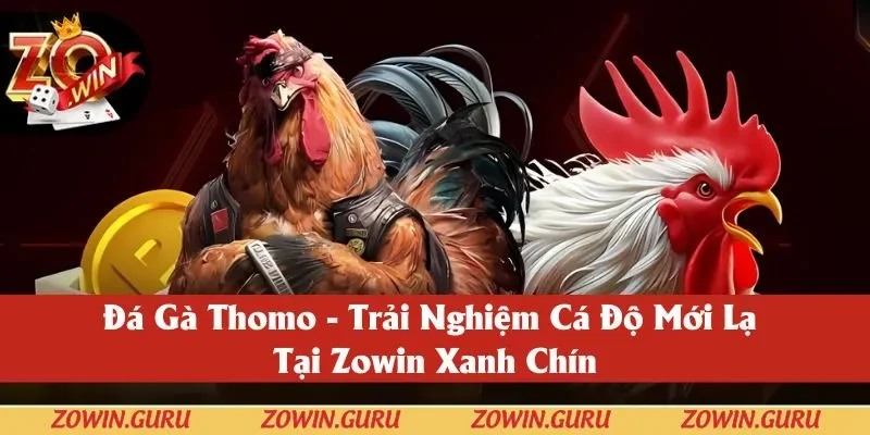 Đá Gà Thomo - Trải Nghiệm Cá Độ Mới Lạ Tại Zowin 2025