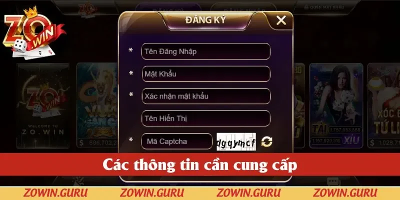 Các thông tin cần cung cấp