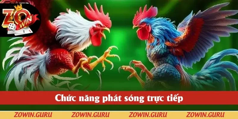 Chức năng phát sóng trực tiếp