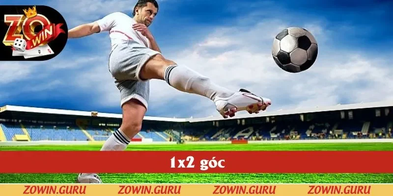 1x2 góc cũng không hề kém cạnh các loại khác